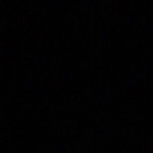 Meet your Posher, Bonnie